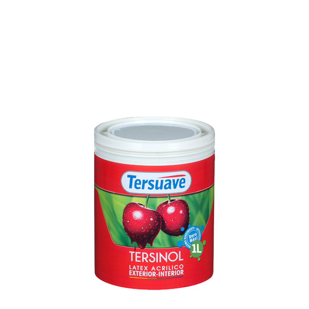 Latex Interior Exterior Tersinol 1Lt