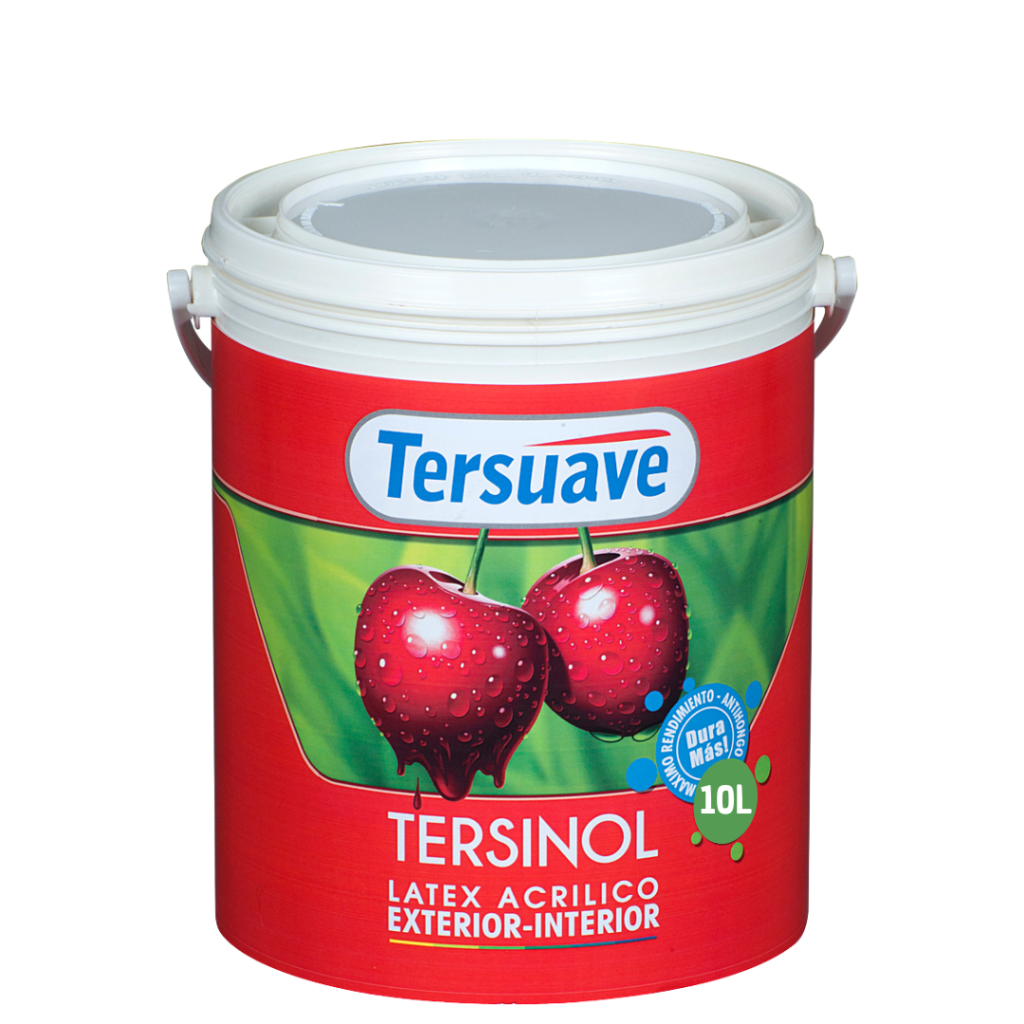 Latex Interior Exterior Tersinol 10Lts